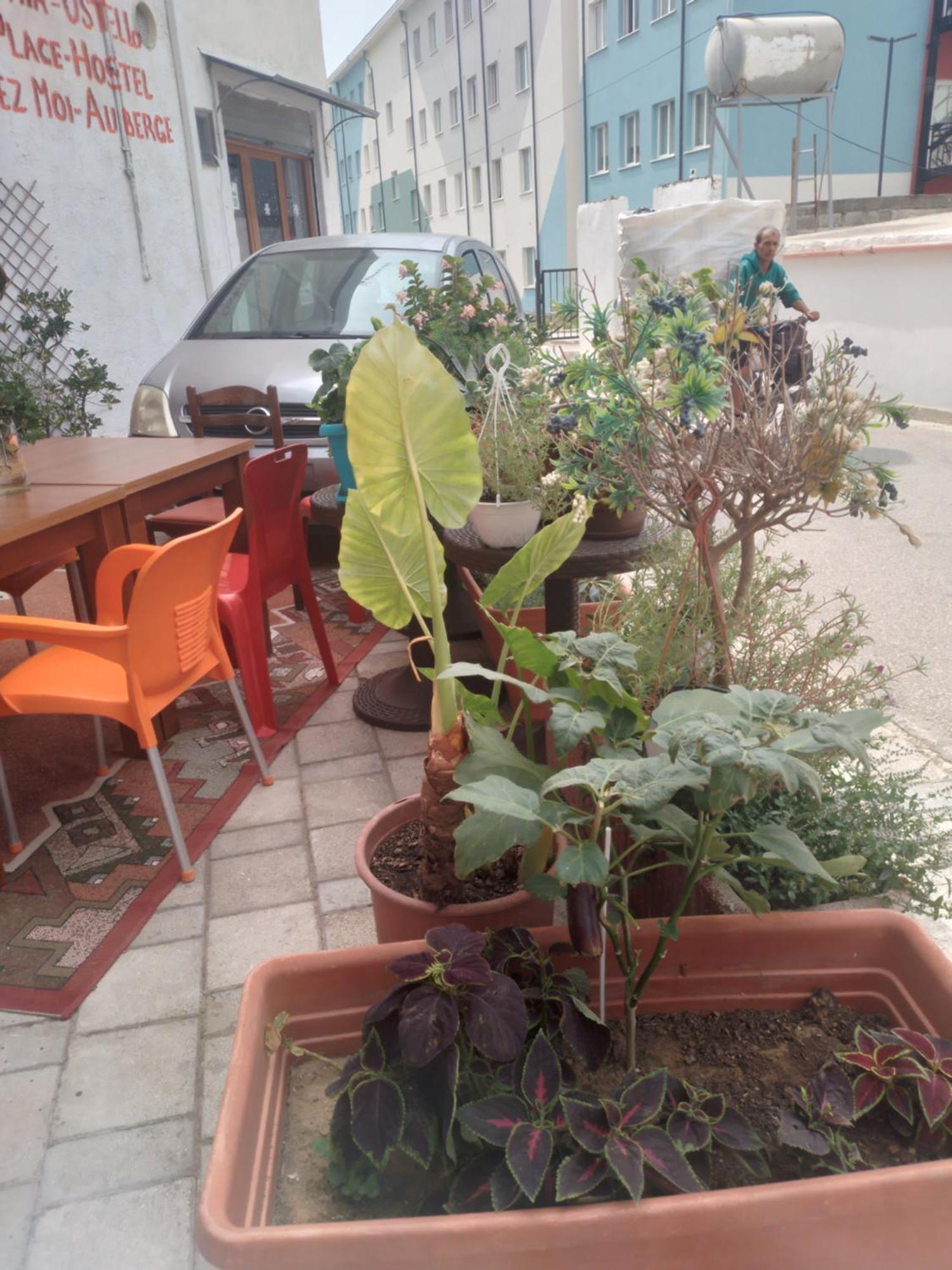 Casa Mia Hostel Vlore Bagian luar foto